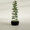 Casablanca Medium Round Low Bowl Fiberglass Planter - 20 in x 20 in x 10 in - Gloss Black - Gloss Black,20 in x 20 in x 10 in