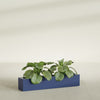 Salon Large Tall Rectangle Fiberglass Planter - 42 in x 8 in x 8 in - Matte Cobalt Blue - Matte Cobalt Blue,42 in x 8 in x 8 in