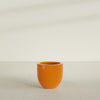 Alzira Medium Round Fiberglass Planter - 23 in x 23 in x 22 in - Gloss Tangerine - Gloss Tangerine,23 in x 23 in x 22 in