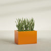 Granada Large Rectangle Fiberglass Planter - 36 in x 24 in x 24 in - Gloss Tangerine - Gloss Tangerine,36 in x 24 in x 24 in