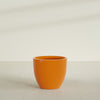 Wannsee Large Round Fiberglass Planter - 39 in x 39 in x 34 in - Gloss Tangerine - Gloss Tangerine,39 in x 39 in x 34 in
