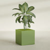 Montroy Large Cube Square Fiberglass Planter - 36 in x 36 in x 36 in - Satin Green - Satin Green,36 in x 36 in x 36 in