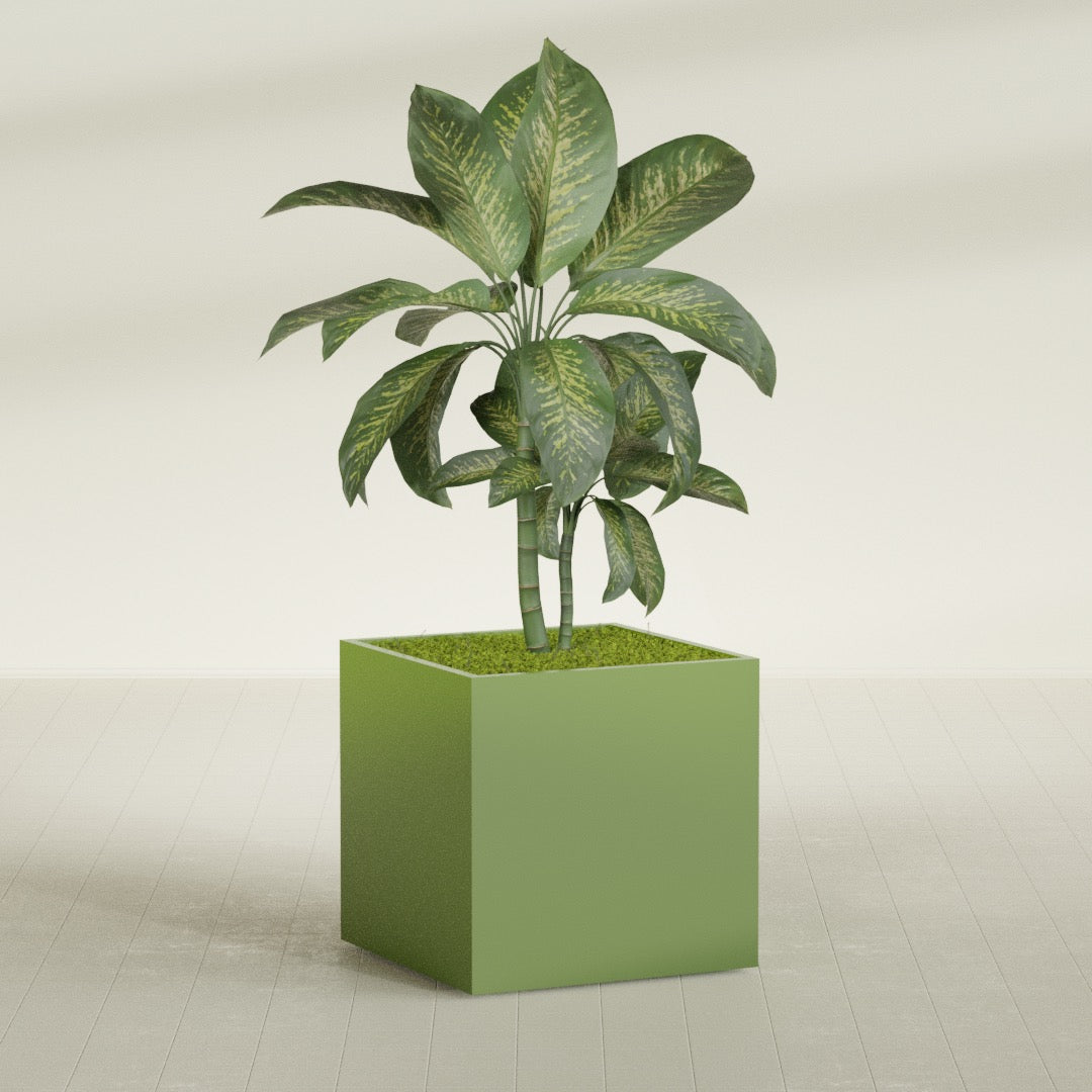 Montroy Large Cube Square Fiberglass Planter - 36 in x 36 in x 36 in - Satin Green - Satin Green,36 in x 36 in x 36 in