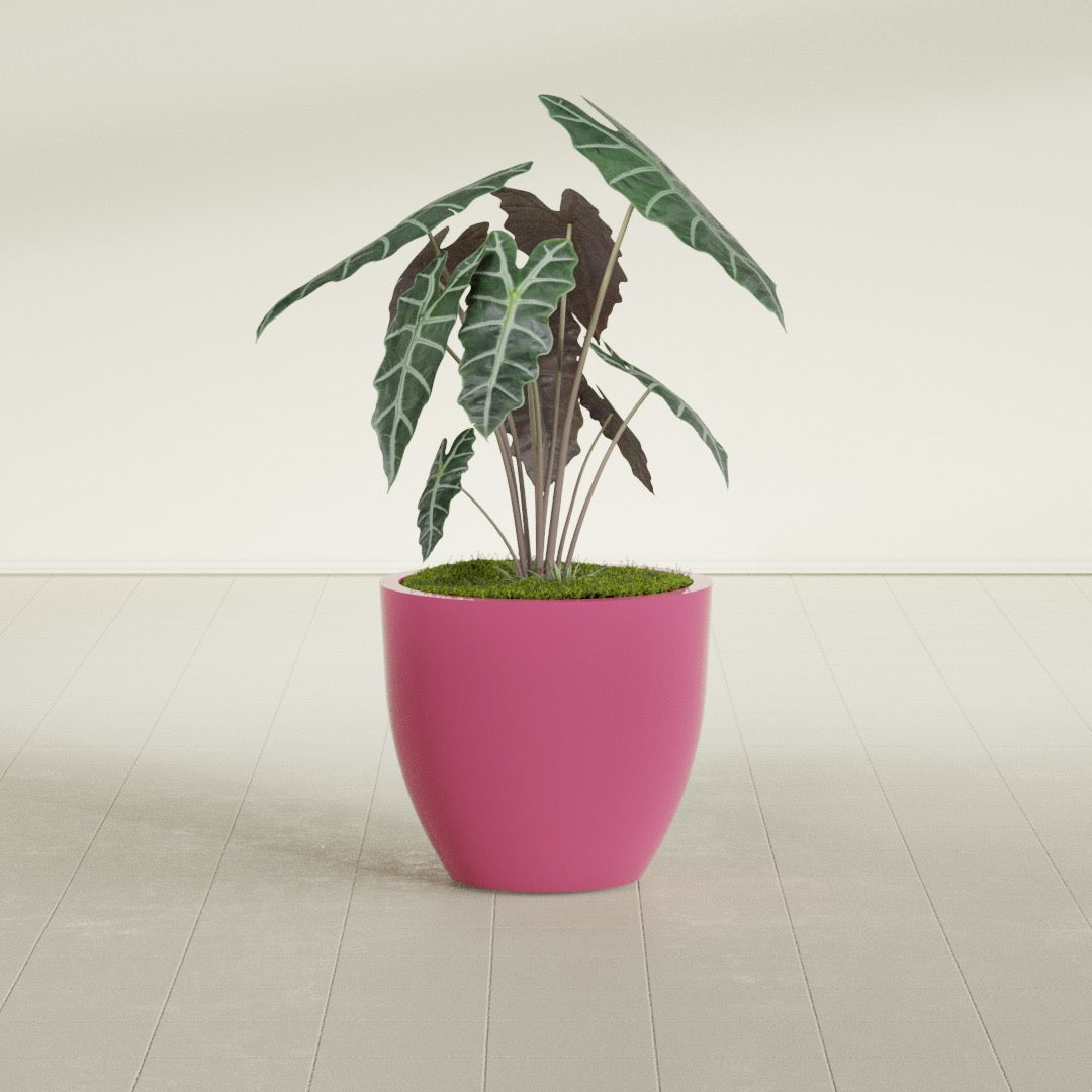 Wannsee Medium Round Fiberglass Planter - 27 in x 27 in x 24 in - Gloss Pink Violet - Gloss Pink Violet,27 in x 27 in x 24 in