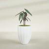 Alicante Medium Round Fiberglass Planter - 22 in x 22 in x 27 in - Matte White - Matte White,22 in x 22 in x 27 in