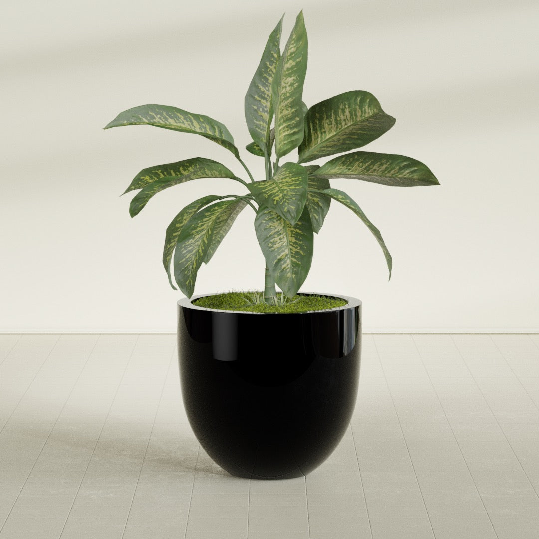 Alzira Large Round Fiberglass Planter - 30 in x 30 in x 28 in - Gloss Black - Gloss Black,30 in x 30 in x 28 in