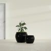 Fishbowl Small Round Fiberglass Planter - 16 in x 16 in x 14 in - Gloss Black - Gloss Black,16 in x 16 in x 14 in