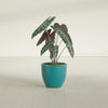 Wannsee Medium Round Fiberglass Planter - 22 in x 22 in x 19 in - Satin Sea Foam - Satin Sea Foam,22 in x 22 in x 19 in
