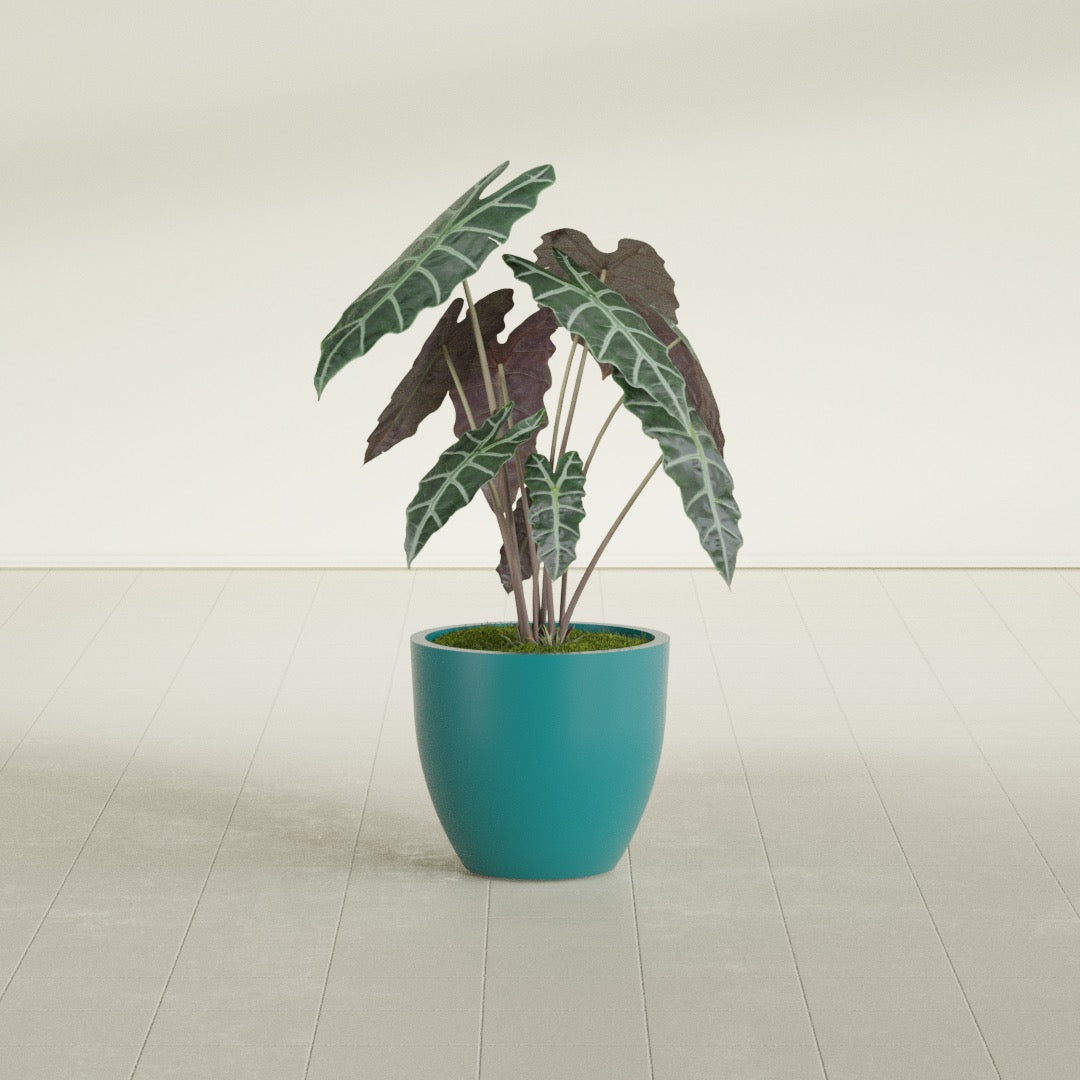 Wannsee Medium Round Fiberglass Planter - 22 in x 22 in x 19 in - Satin Sea Foam - Satin Sea Foam,22 in x 22 in x 19 in