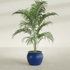 Fishbowl Small Round Fiberglass Planter - 16 in x 16 in x 14 in - Matte Cobalt Blue - Matte Cobalt Blue,16 in x 16 in x 14 in
