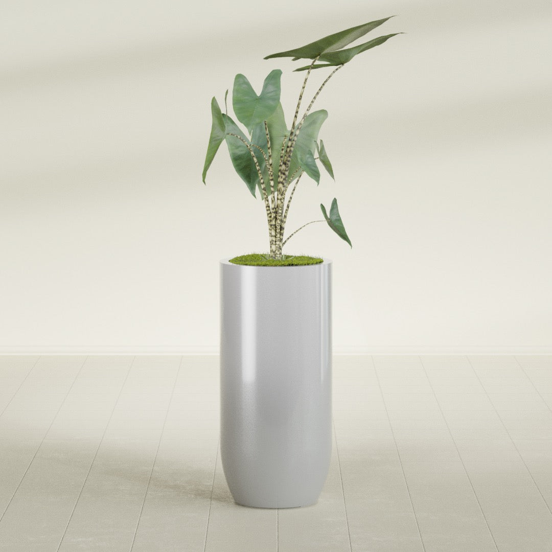 Saint Tropez Large Tall Round Fiberglass Planter - 20 in x 20 in x 43 in - Metallic Silver - Metallic Silver,20 in x 20 in x 43 in