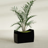 Seoul Large Curved Abstract Fiberglass Planter - 36 in x 16 in x 24 in - Gloss Black - Gloss Black,36 in x 16 in x 24 in
