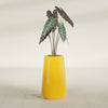 Saigon Large Tapered Round Planter - 14 in x 14 in x 30 in - Gloss Saffron - Gloss Saffron,13.7 in x 13.7 in 30 in