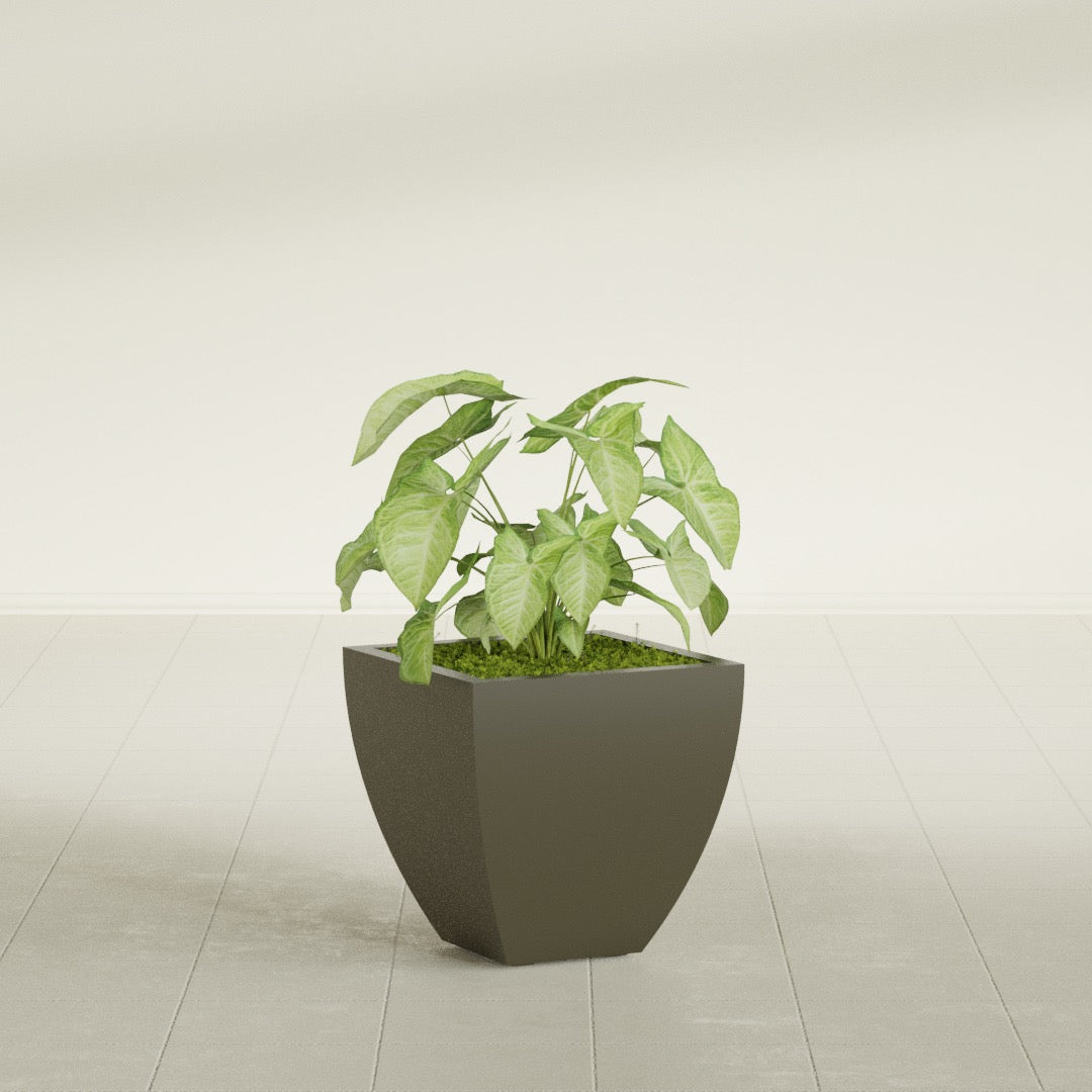 Lima Small Tapered Square Fiberglass Planter - 16 in x 16 in x 16 in - Matte Bronze - Matte Bronze,16 in x 16 in x 16 in