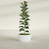 Casablanca Medium Round Low Bowl Fiberglass Planter - 20 in x 20 in x 10 in - Matte White - Matte White,20 in x 20 in x 10 in