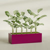 Torino Extra Large Wide Rectangle Fiberglass Planter - 60 in x 24 in x 18 in - Gloss Eggplant - Gloss Eggplant,60 in x 24 in x 18 in