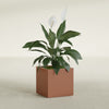 Montroy Medium Cube Square Fiberglass Planter - 20 in x 20 in x 20 in - Matte Terracotta - Matte Terracotta,20 in x 20 in x 20 in
