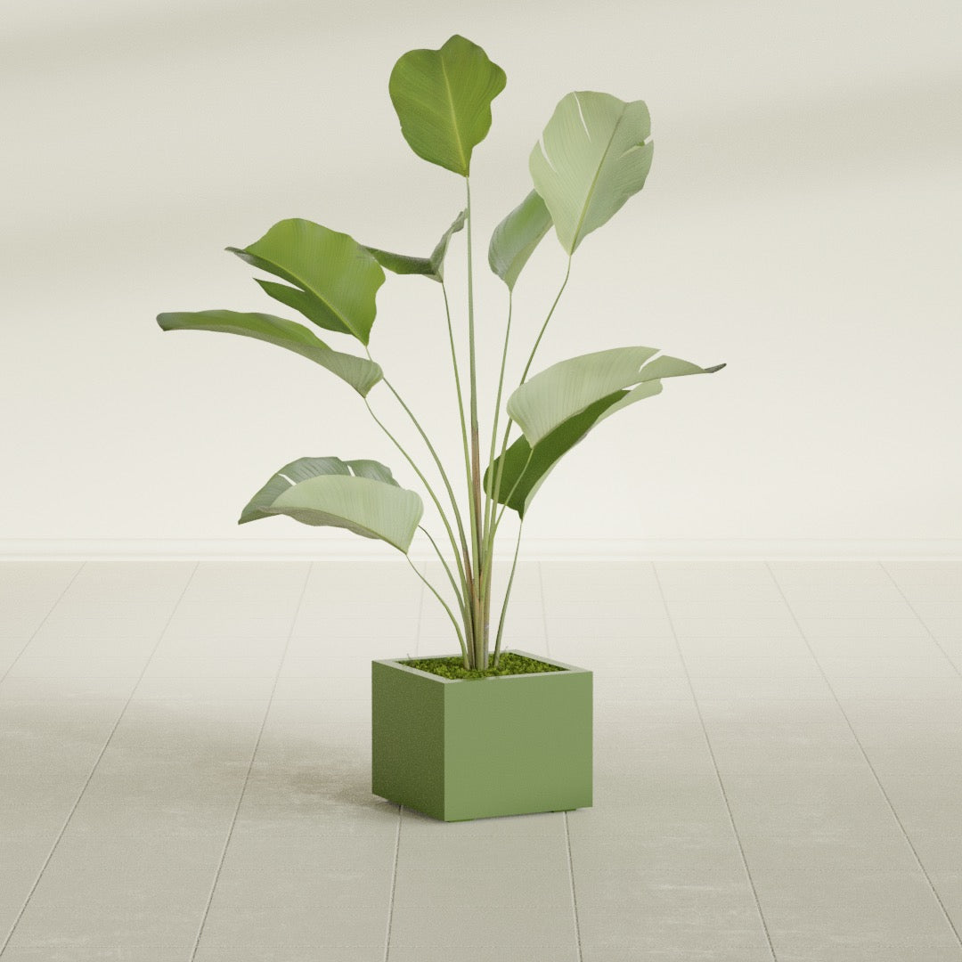 Cuba Small Fiberglass Column Planter - 14 in x 14 in x 12 in - Satin Green - Satin Green,14 in x 14 in x 12 in