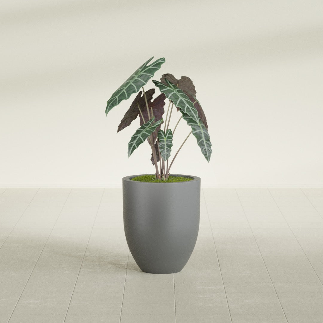 Valencia Small Round Fiberglass Planter - 15 in x 15 in x 18 in - Metallic Gunmetal - Metallic Gunmetal,15 in x 15 in x 18 in
