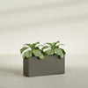 Miami Large Narrow Rectangle Fiberglass Planter - 36 in x 12 in x 18 in - Matte Bronze - Matte Bronze,36 in x 12 in x 18 in