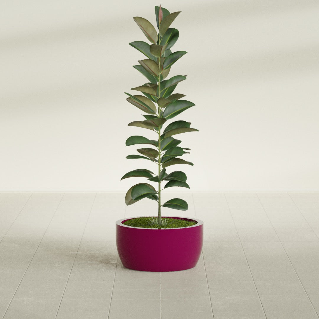 Casablanca Medium Round Low Bowl Fiberglass Planter - 20 in x 20 in x 10 in - Gloss Eggplant - Gloss Eggplant,20 in x 20 in x 10 in