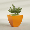 Lima Large Tapered Square Fiberglass Planter - 30 in x 30 in x 30 in - Gloss Tangerine - Gloss Tangerine,30 in x 30 in x 30 in