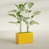 Tolga Large Rectangle Fiberglass Planter - 36 in x 16 in x 24 in - Gloss Saffron - Gloss Saffron,36 in x 16 in x 24 in