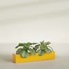 Salon Large Tall Rectangle Fiberglass Planter - 42 in x 8 in x 8 in - Gloss Saffron - Gloss Saffron,42 in x 8 in x 8 in