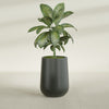 Tall Hayden Medium Round Fiberglass Planter - 15 in x 15 in x 23 in - Matte Charcoal - Matte Charcoal,15 in x 15 in x 23 in