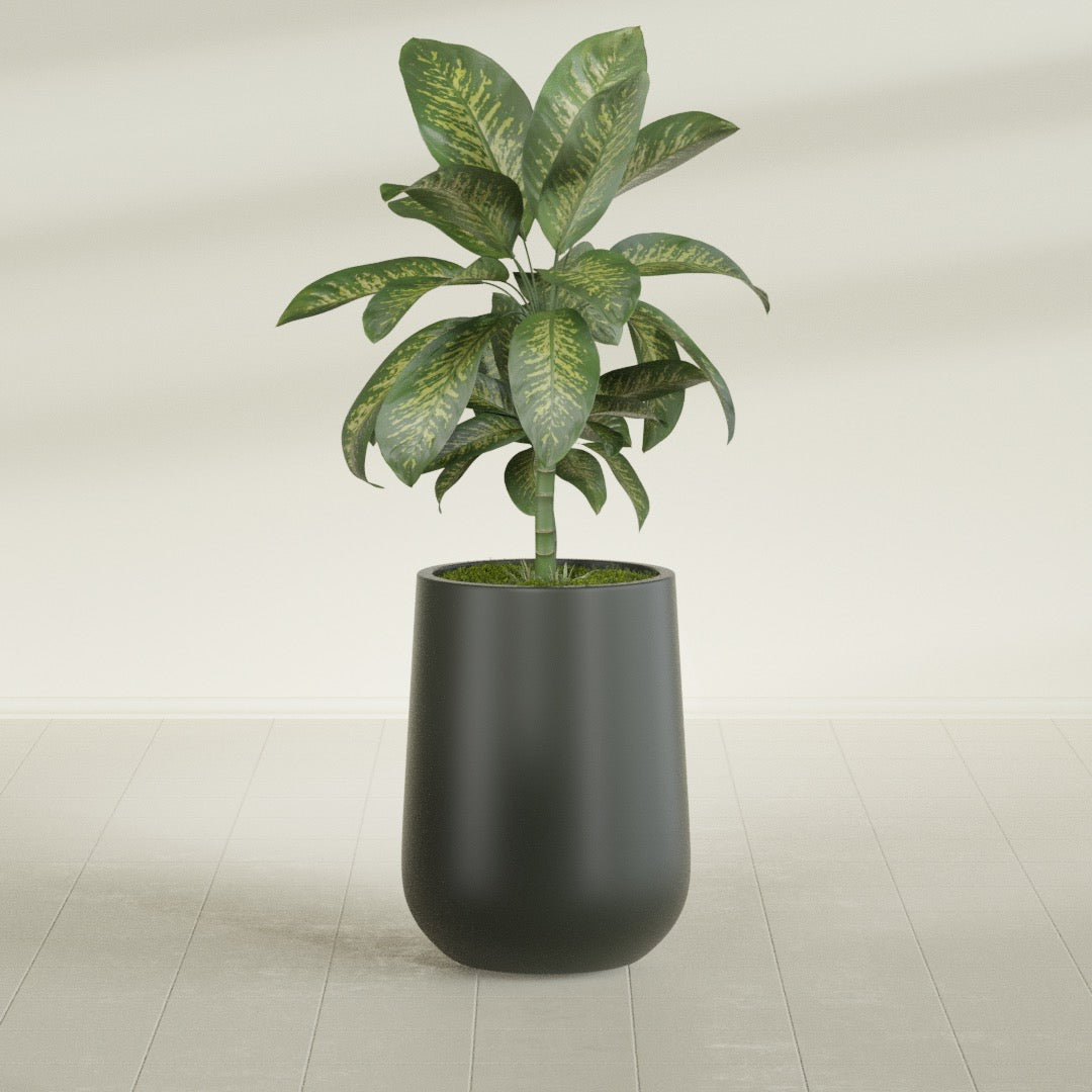 Tall Hayden Medium Round Fiberglass Planter - 15 in x 15 in x 23 in - Matte Charcoal - Matte Charcoal,15 in x 15 in x 23 in