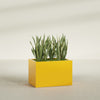 Granada Large Rectangle Fiberglass Planter - 36 in x 24 in x 24 in - Gloss Saffron - Gloss Saffron,36 in x 24 in x 24 in