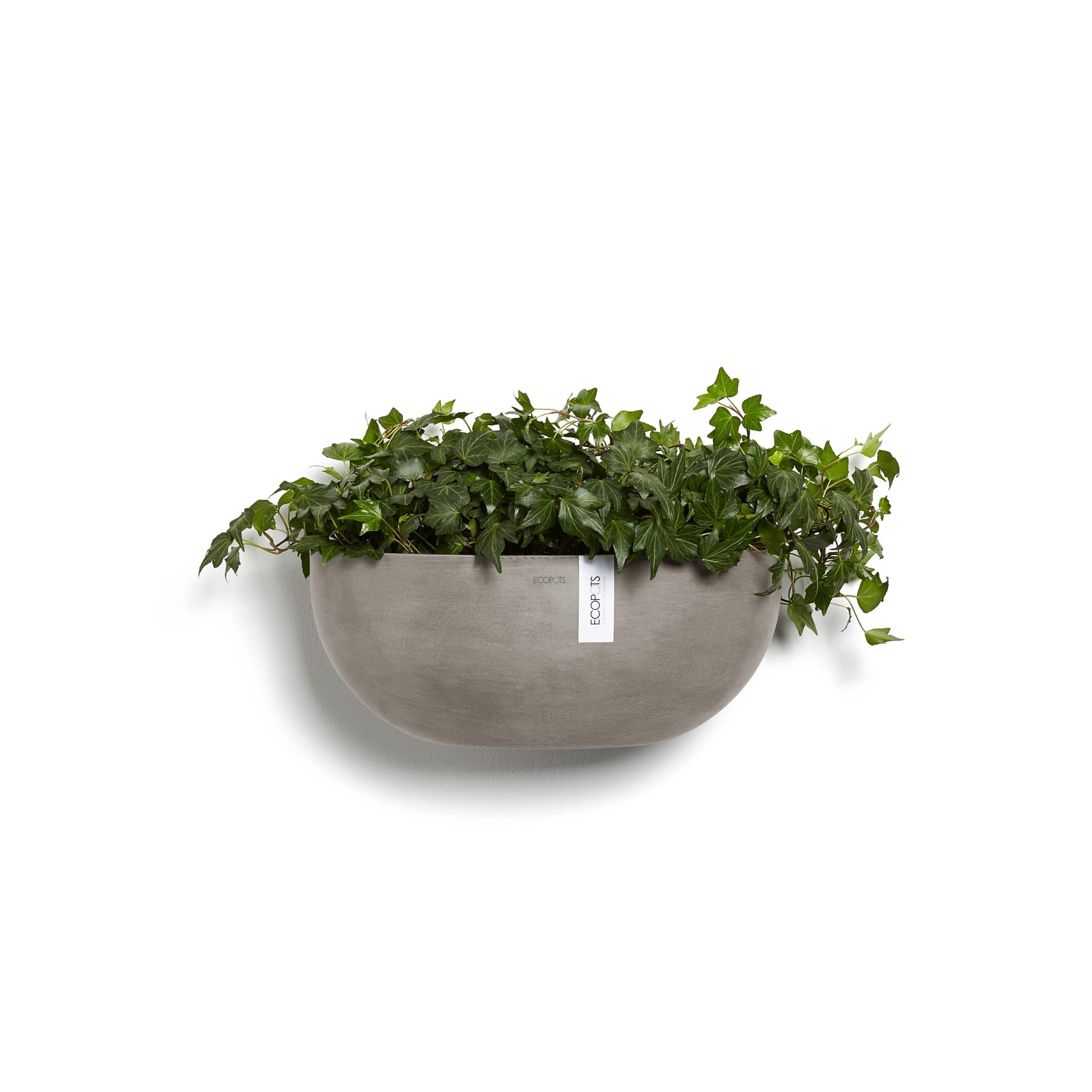 Sofia Wall Small Conical Wall Planter - 16.5 in x 10 in x 7 in - Taupe - Taupe,16.5 in x 16.5 in x 7 in