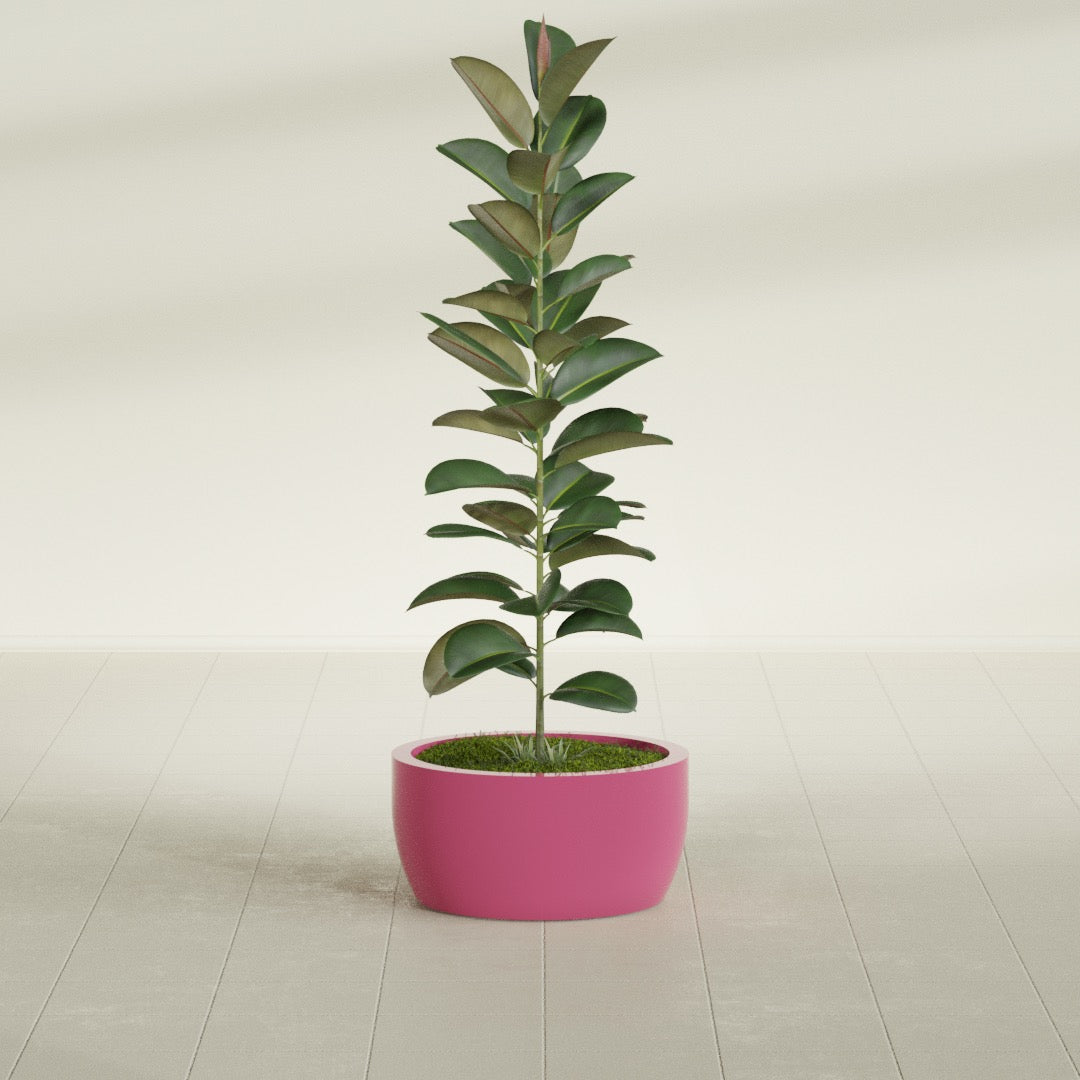Casablanca Medium Round Low Bowl Fiberglass Planter - 20 in x 20 in x 10 in - Gloss Pink Violet - Gloss Pink Violet,20 in x 20 in x 10 in