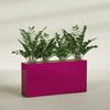 Milano Extra Large Narrow Rectangle Fiberglass Planter - 48 in x 10 in x 24 in - Gloss Eggplant - Gloss Eggplant,48 in x 10 in x 24 in