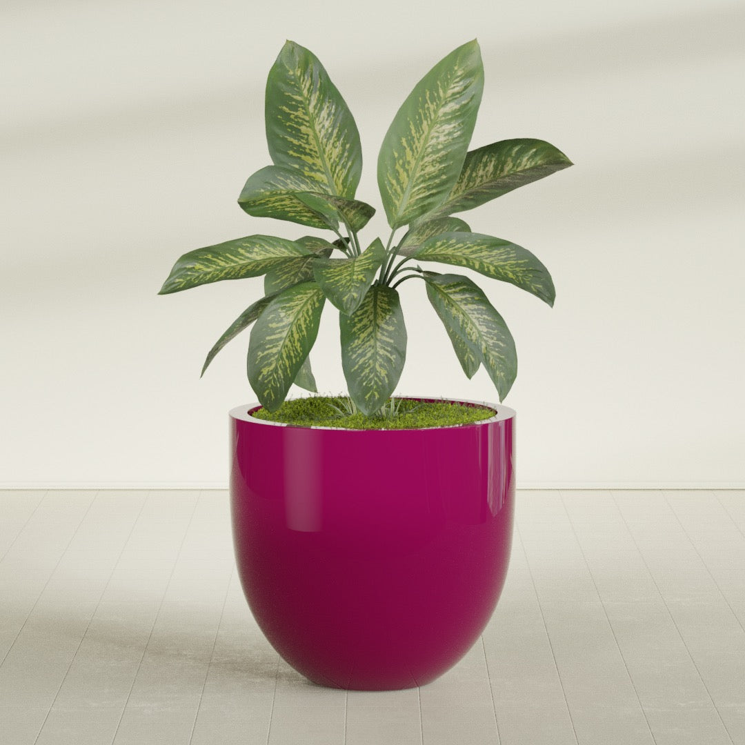 Alzira Large Round Fiberglass Planter - 36 in x 36 in x 34 in - Gloss Eggplant - Gloss Eggplant,36 in x 36 in x 34 in