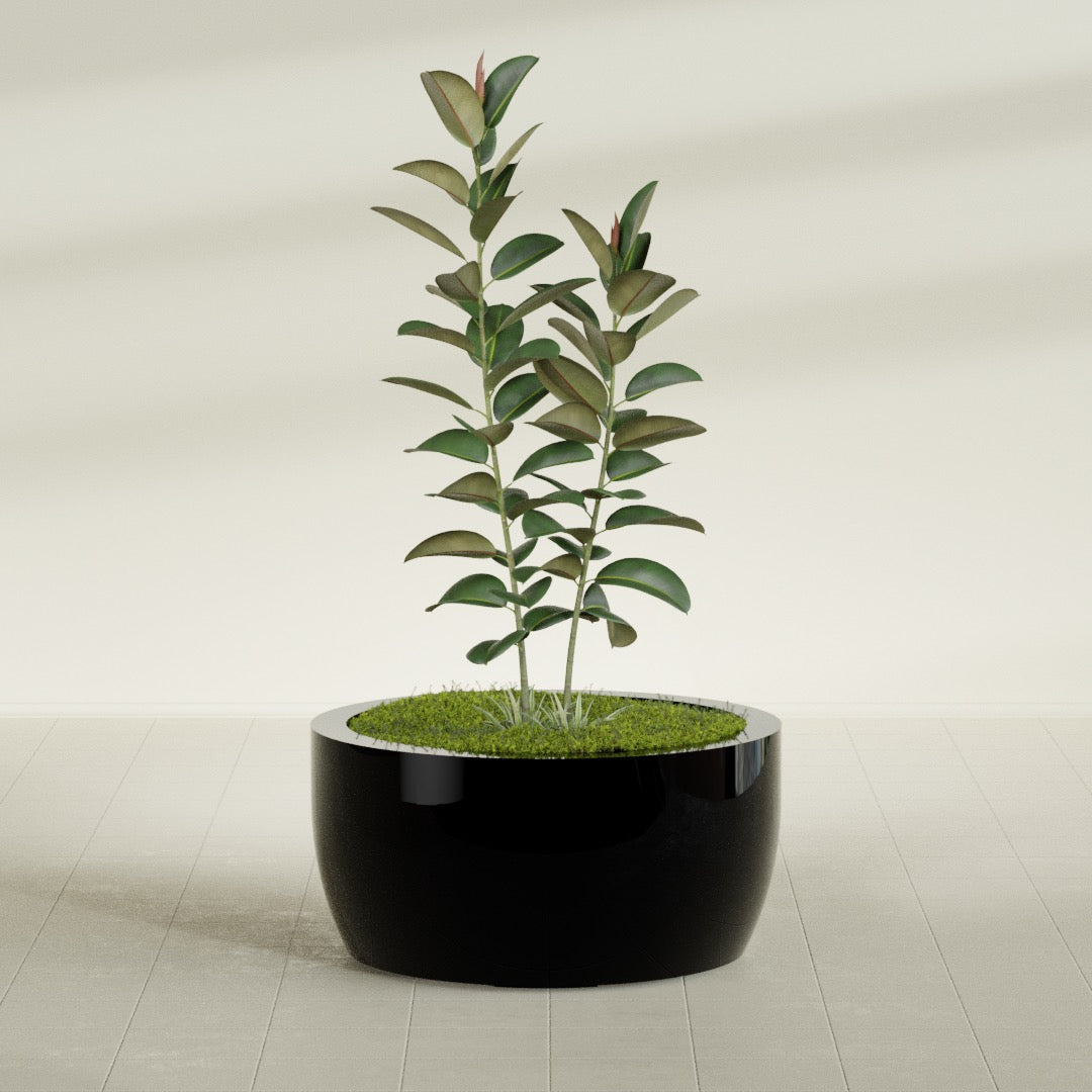Casablanca Large Round Low Bowl Fiberglass Planter - 36 in x 36 in x 18 in - Gloss Black - Gloss Black,36 in x 36 in x 18 in