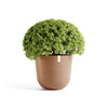 Oslo Medium Round Planter - 25.5 in x 25.5 in x 22.3 in - Terracotta - Terracotta,25.5 in x 25.5 in x 22.25 in,Planter Only