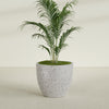 Tapered Round - 39in diam. x 34in - StoneLight - Greystone - StoneLight - Greystone,39 in x 39 in x 34 in