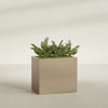 Brisbane Large Rectangle Fiberglass Planter - 36 in x 24 in x 32 in - Metallic Gold - Metallic Gold,36 in x 24 in x 32 in