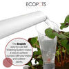 Indoor Self-Watering System 11.8 in x 11.8 in x 1 in - Compatible with 12" Amsterdam - Black,11.8 in x 11.8 in x 1 in