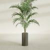 Corry Medium Tall Cylinder Fiberglass Planter - 10 in x 10 in x 20 in - Matte Bronze - Matte Bronze,10 in x 10 in x 20 in
