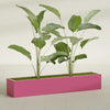 Cuba Extra Large Long Rectangle Fiberglass Planter - 72 in x 14 in x 12 in - Gloss Pink Violet - Gloss Pink Violet,72 in x 14 in x 12 in