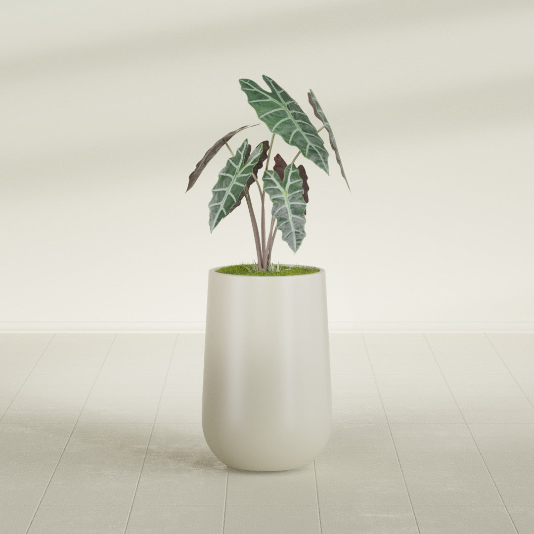 Tall Hayden Medium Round Fiberglass Planter - 12 in x 12 in x 20 in - Satin Beige - Satin Beige,12 in x 12 in x 20 in