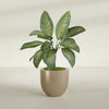 Alzira Medium Round Fiberglass Planter - 23 in x 23 in x 22 in - Metallic Gold - Metallic Gold,23 in x 23 in x 22 in