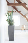Rotterdam Medium Tall Square Planter - 12.6 in x 12.6 in x 27.5 in - Grey - Grey,12.5 in x 12.5 in x 27.5 in,Planter Only
