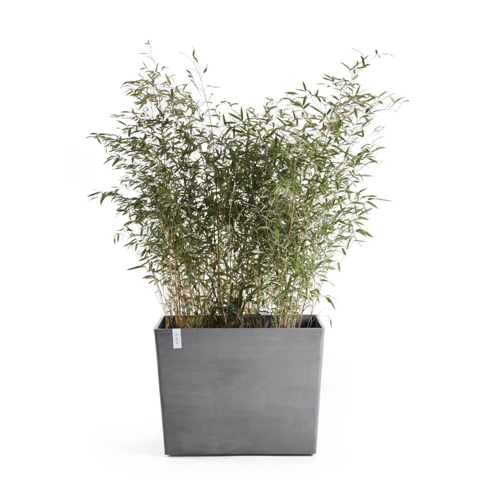 Paris with Wheels Large Rectangle Planter - 33.5 in x 15.5 in x 26 in - Grey - Grey,33.5 in x 15.5 in x 26 in