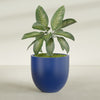 Alzira Large Round Fiberglass Planter - 36 in x 36 in x 34 in - Matte Cobalt Blue - Matte Cobalt Blue,36 in x 36 in x 34 in