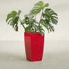 Toulan Large Tall Tapered Square Fiberglass Planter - 16 in x 16 in x 30 in - Gloss Red - Gloss Red,16 in x 16 in x 30 in
