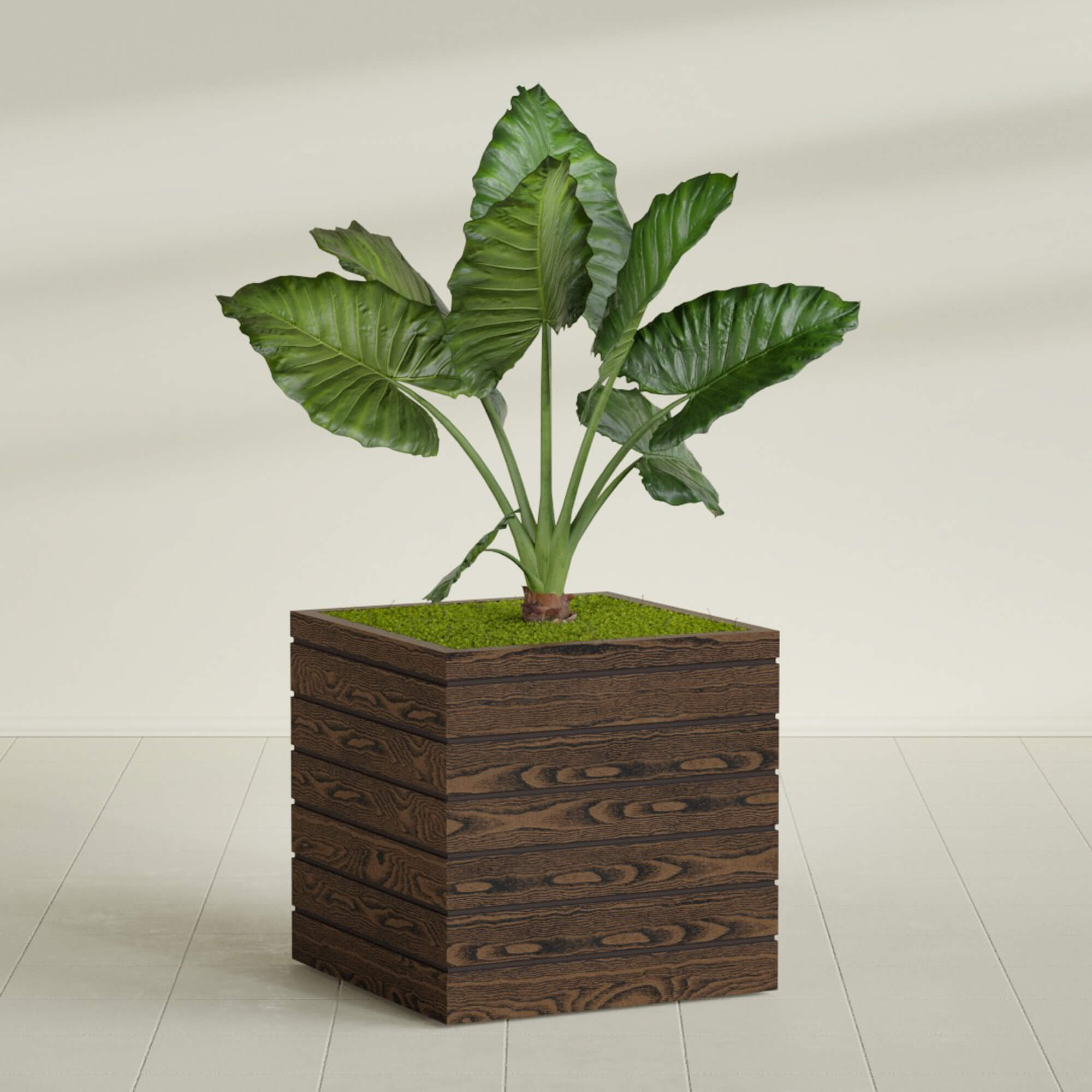 Asheville - 28in x 28in x 28in - Dark Oak - Dark Oak