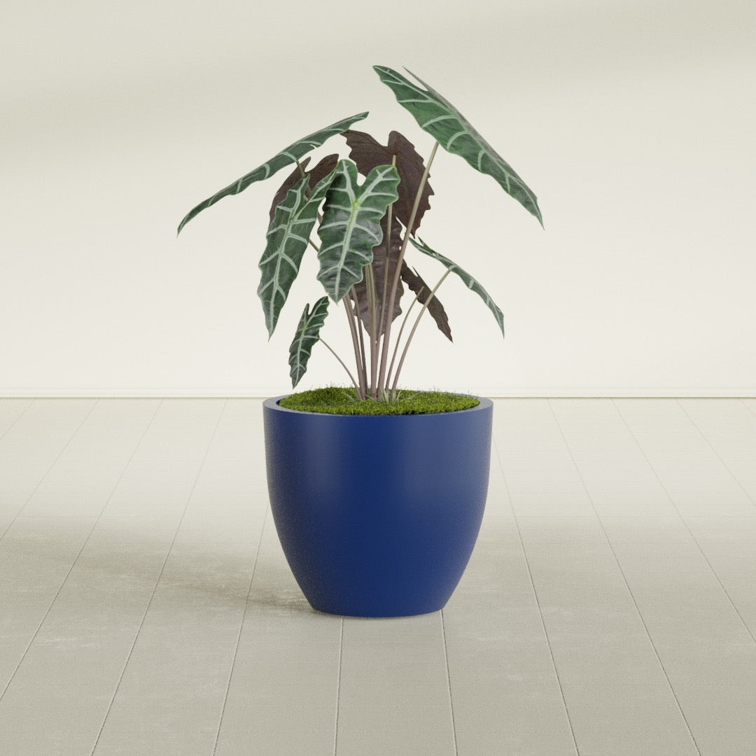 Wannsee Medium Round Fiberglass Planter - 27 in x 27 in x 24 in - Matte Cobalt Blue - Matte Cobalt Blue,27 in x 27 in x 24 in